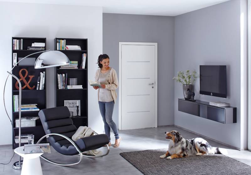 Installation d’une porte d’intérieure avec éléments de design en acier, Totes 76890